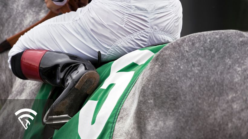 Close up of a horse and jockey representing a handicapper trip note