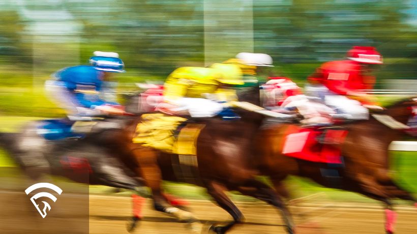 Horses racing representing value betting in horse racing