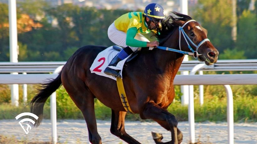 Horse with a jockey representing the topic of what to look for when shopping for an AI horse racing software solution