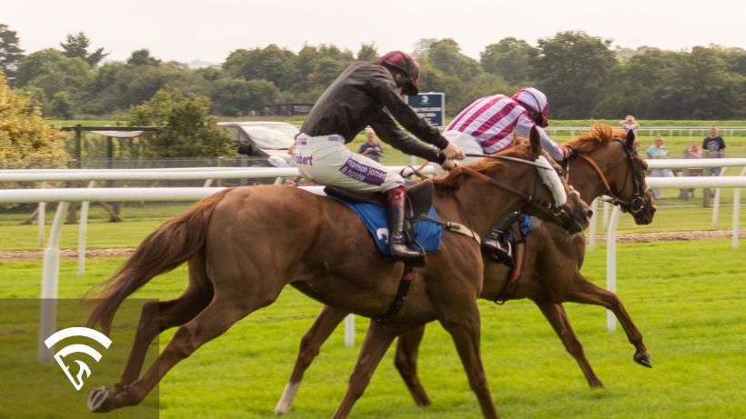 Two horses with jockeys racing on a turf track