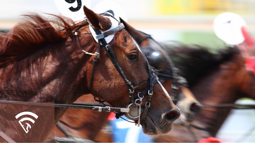 Close up profile photo of horses racing representing a combo bet in horse racing