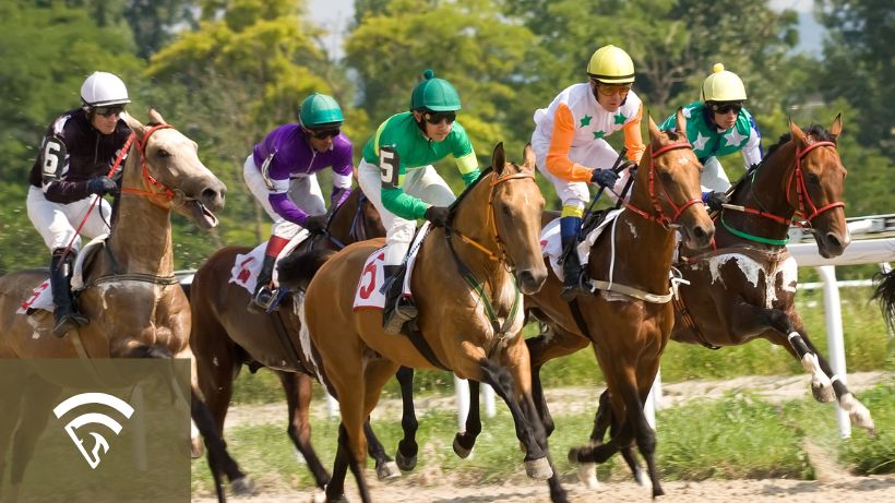 Several horses trotting on a track