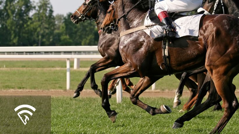 Detailed profile view of horses with jockeys racing