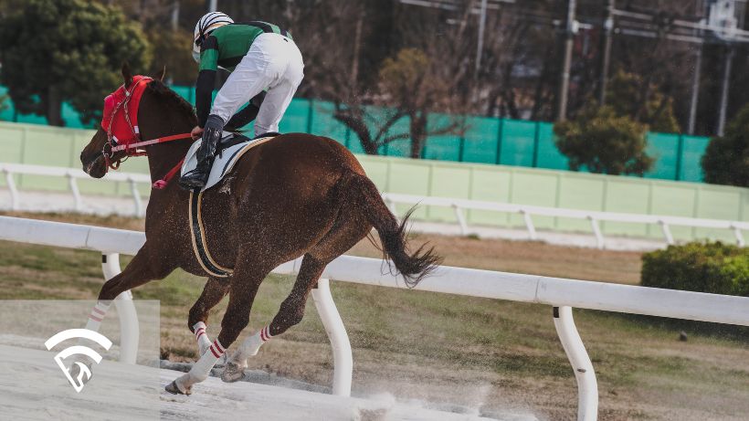 Backside of a horse and jockey racing