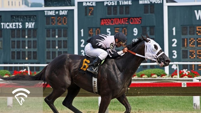 Horse with a jockey representing the topic of a spread in a multi-race bet