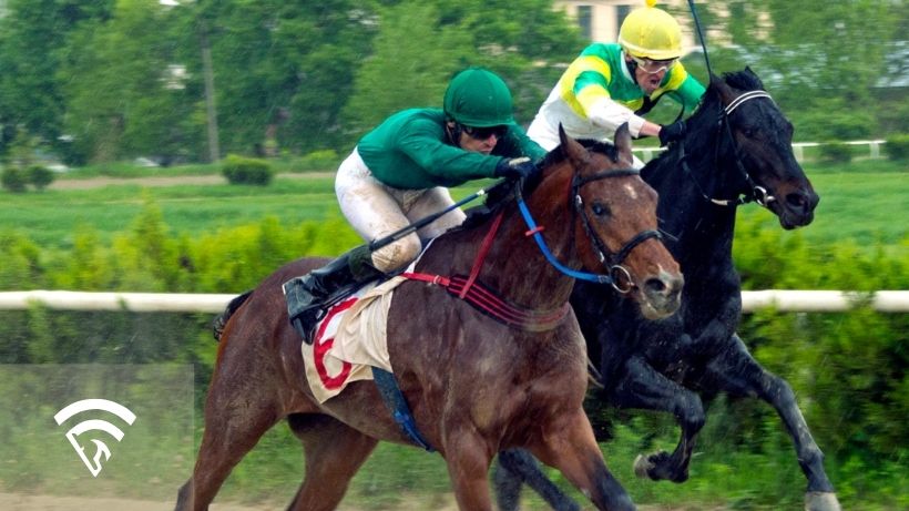Horses racing representing the topic of a backup ticket in horse racing