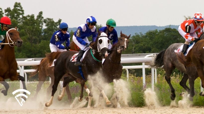 Horses racing representing the topic of a part-wheel bet