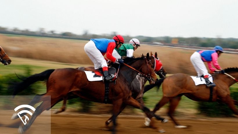 Horses racing representing the topic of a single in a pick 4 or a pick 5 in horse racing
