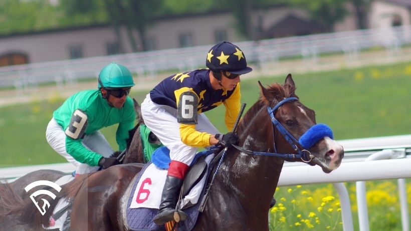 Horses racing representing the topic of a super high five bet in horse racing