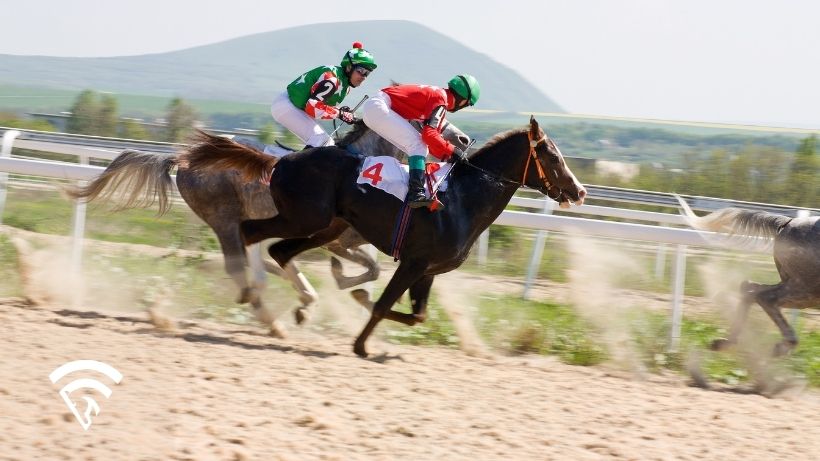 Horses racing representing the topic of a superfecta box