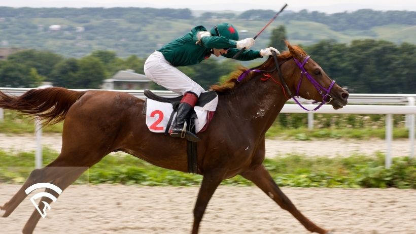 Horse racing with jockey representing the topic of a trifecta box in horse racing