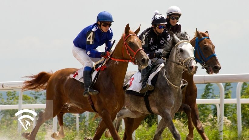 Horses racing representing the topic of an exacta box in horse racing