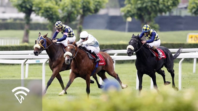Horses racing representing the topic of a pick 5