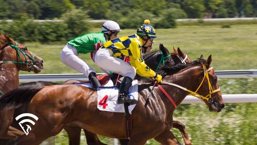 Horses racing representing the topic of the ALL button in horse racing betting