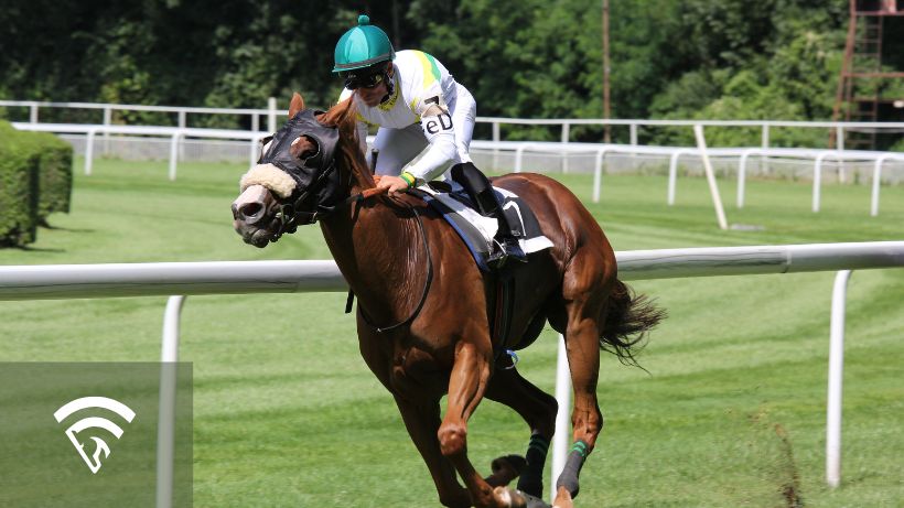 Jockey on a horse representing progeny performance