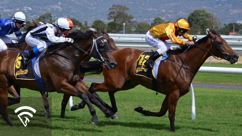 Three year old horses racing on a grass track