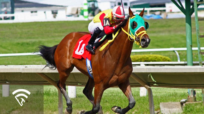 War horse racing with a jockey