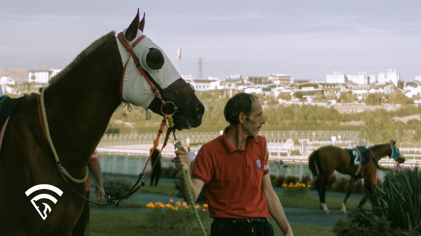 Horse and trainer representing a lead pony in horse racing
