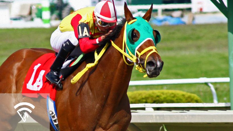 Close up of a horse racing