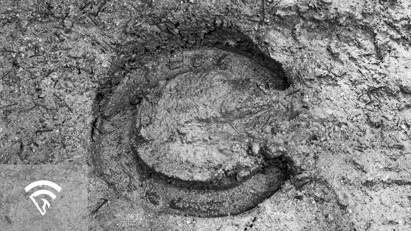 Horseshoe print in mud