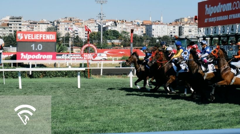 Racehorses running representing the topic of bucked shins in racehorses