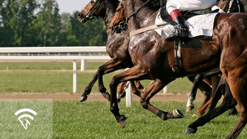 Horses racing representing the topic of a quarter crack in a racehorse