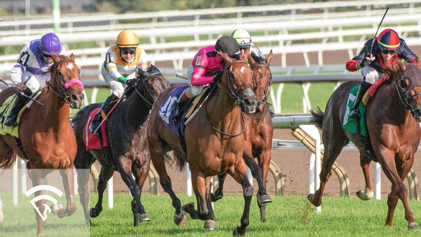 Photo of horses racing