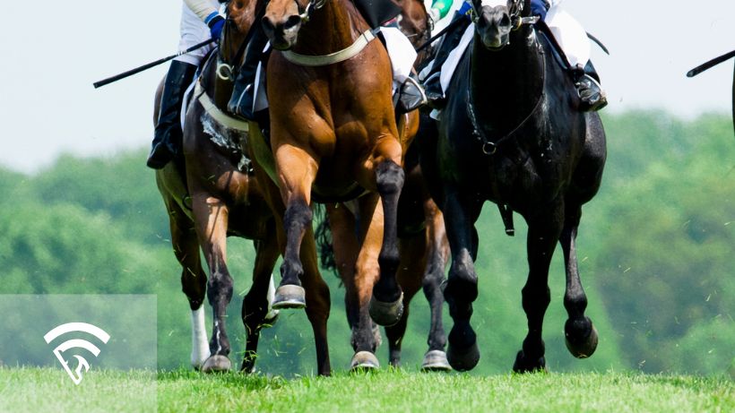 Photo of horses racing representing a wind gall