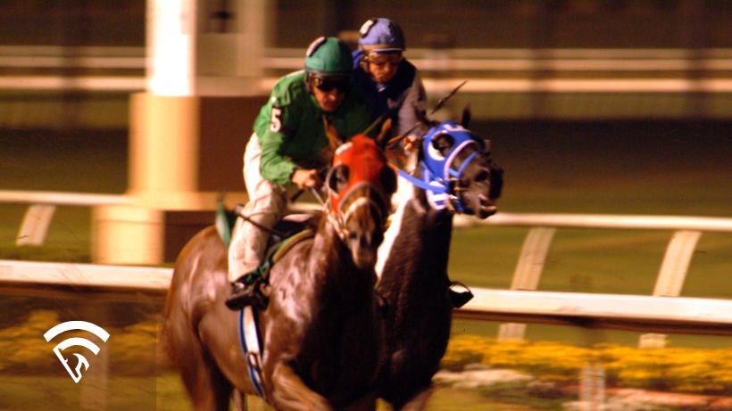 Horse racing representing a bloodstock syndicate compared to a partnership