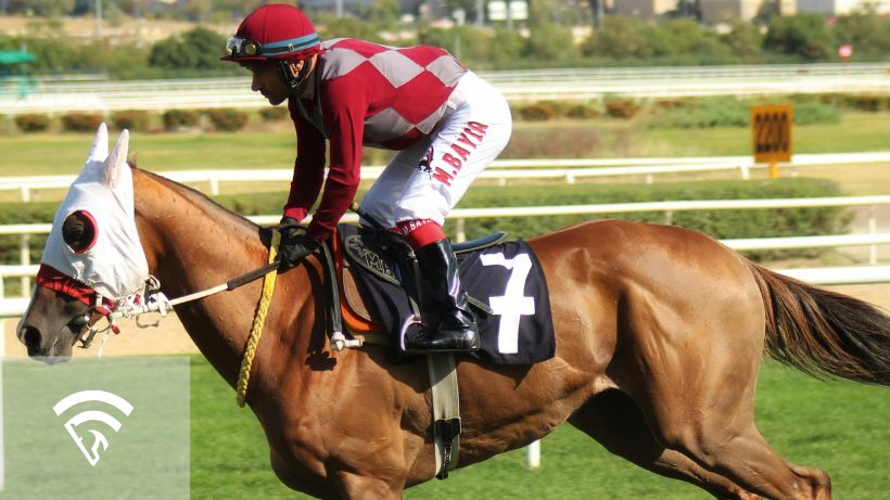 Jockey on a horse racing