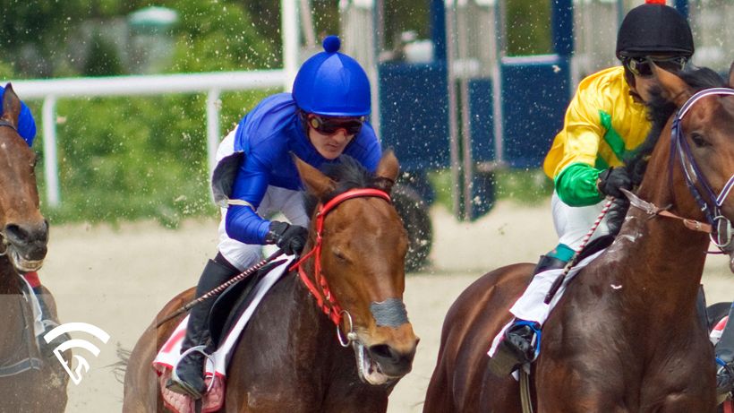 Close up of horses racing representing a racing manager