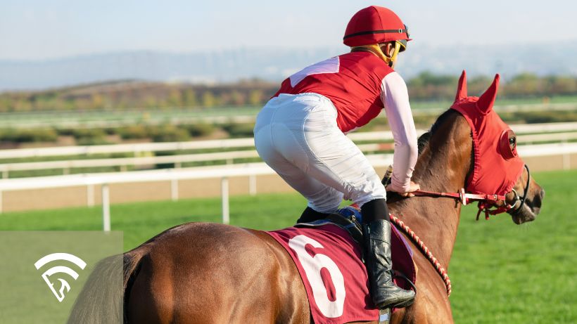 Jockey on a horse representing the topic of a bloodstock agent in horse racing