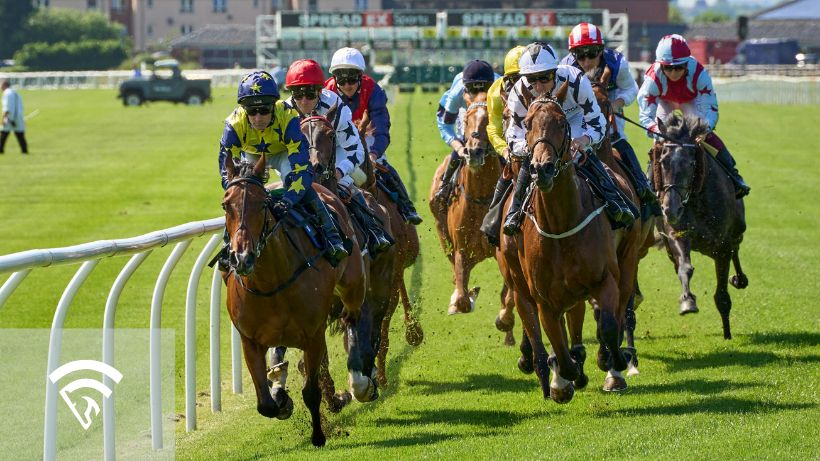 Horses racing representing a broodmare share