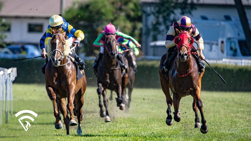 Horses racing representing a sale topper