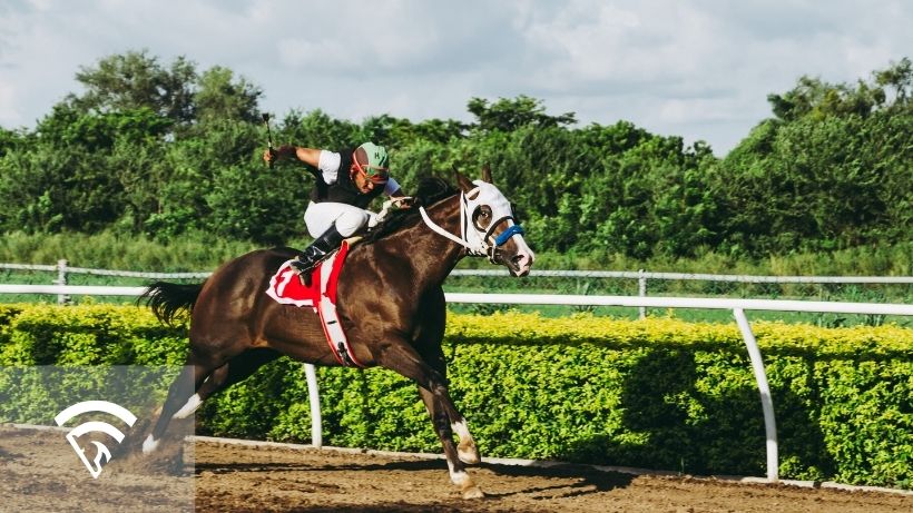 Horse racing representing the topic of a nomination fee in horse racing