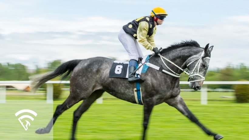 Horse racing representing the topic of RNA in horse sales