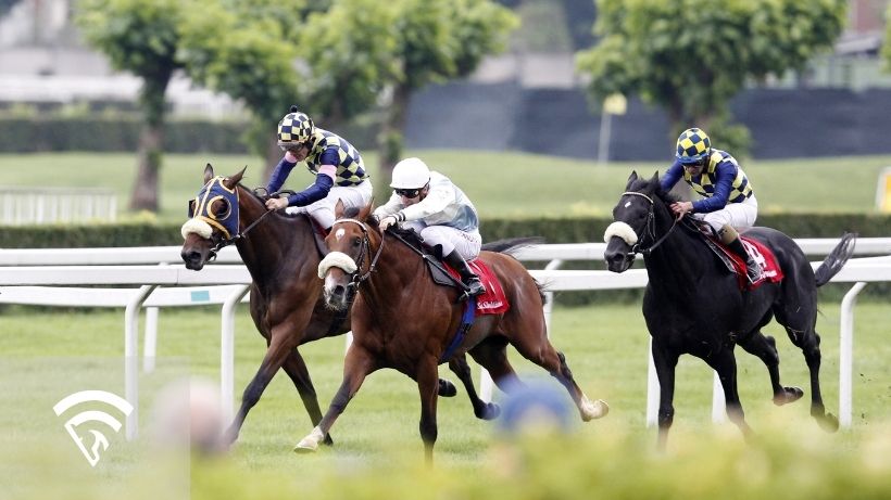Horses racing representing the topic of purse money in horse racing