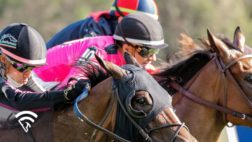 Close up of horses racing representing the topic of A/E index in horse race betting