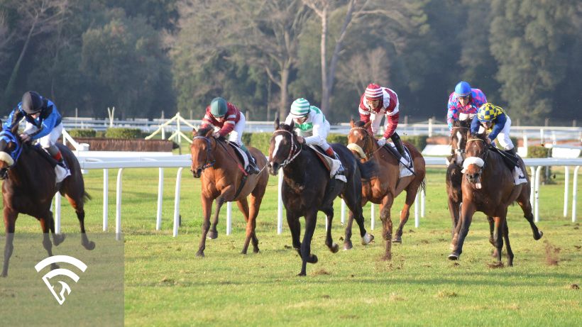 Horses racing representing a long-term edge in horse racing