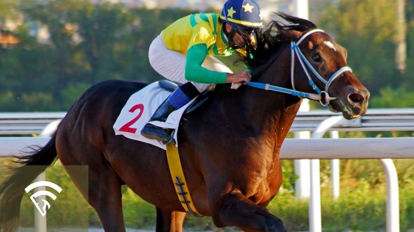Close up of a horse and jockey racing representing the topic of a pace projection model in horse racing