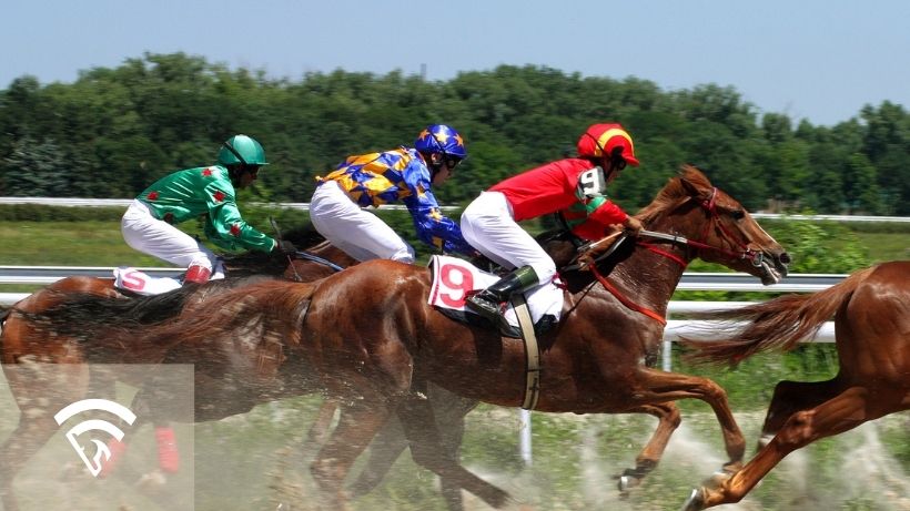 Horses racing representing the topic of a speed regression model in handicapping