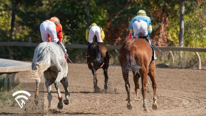Horses racing representing the topic of a track variant in horse racing