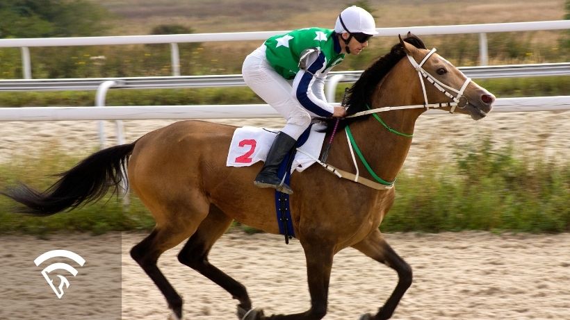 Horse and jockey representing the topic of backtesting in horse racing