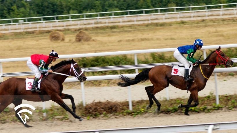 Horses racing representing the topic of correlation vs causation in horse racing data