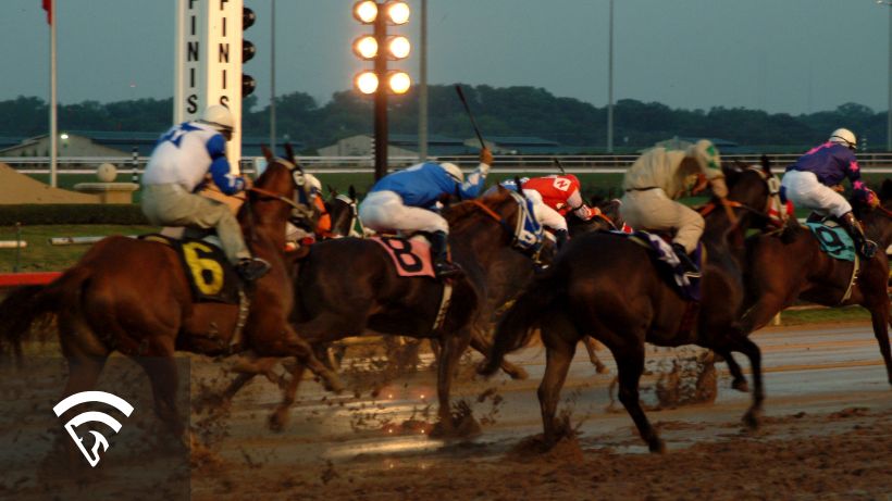 Horse racing representing a hit rate in horse racing wagers