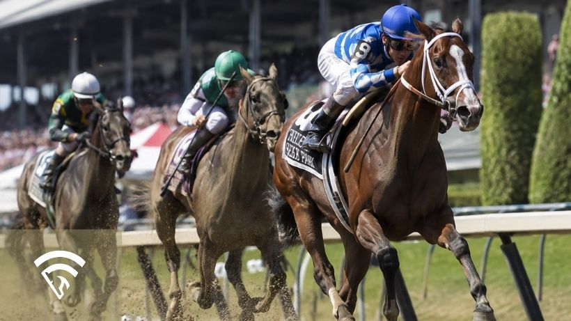 Horses racing representing the topic of a monte carlo simulation in horse racing
