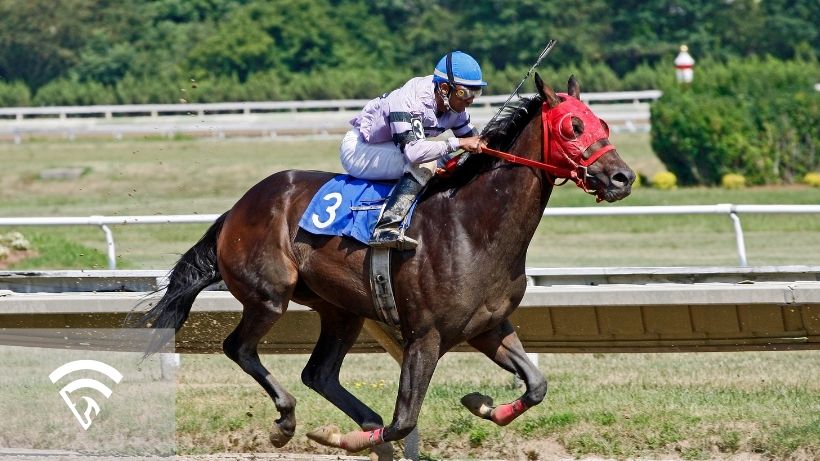 Horse and jockey racing representing the topic of out-of-sample testing in horse racing