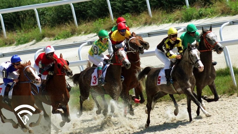Horses racing representing the topic of overfitting in horse racing models