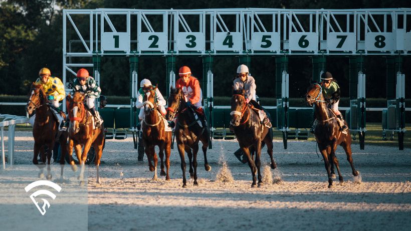 Horses race representing overround in horse racing betting pools