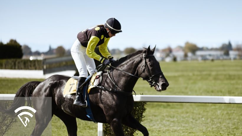 Horse and jockey racing representing ROI in horse race betting